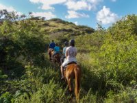 We went horseback riding with  Lucky Stables  mostly because Paula loves riding horses in the surf! We own horses at home but this is still a special ride. We did it once before in the Bahamas. Again, as you can see in this picture the horses are anything but fat. Regardless, they seemed quite up to the task but Lucky Stables limits riders to 220 lbs. Whew, close one for me!